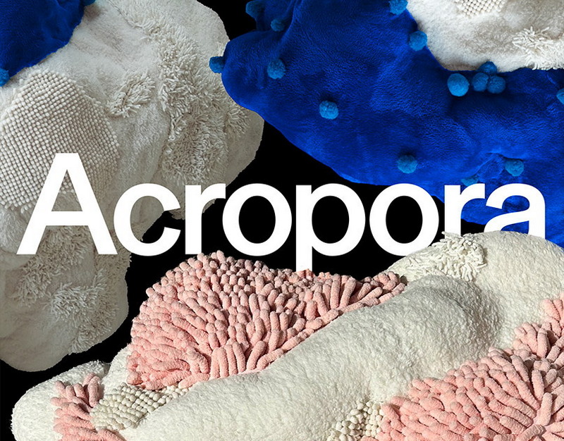 Гаджеты недели 16 марта 2026 года