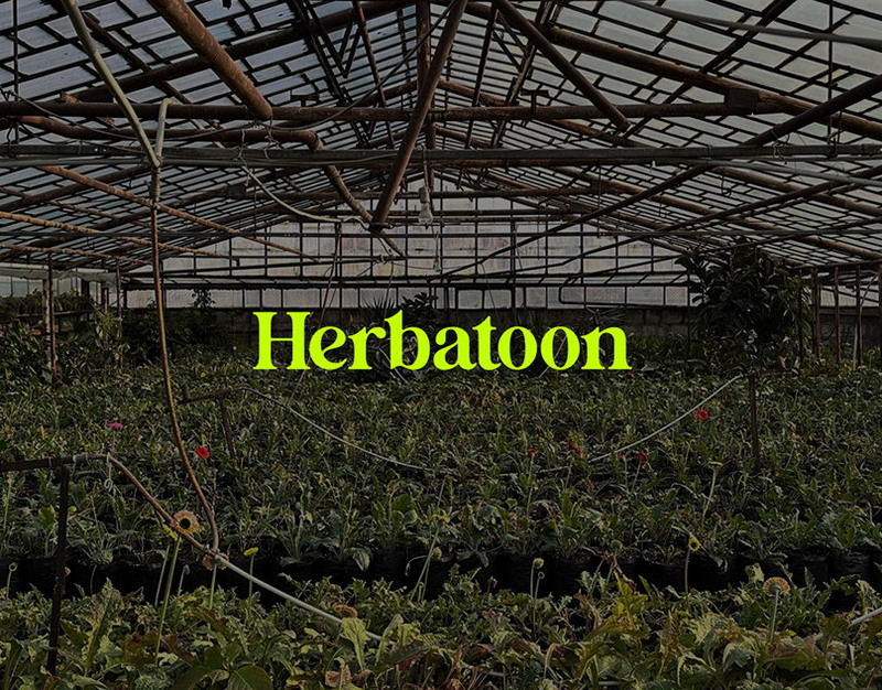 Google готов вернуть в Chrome поддержку формата JPEG-XL