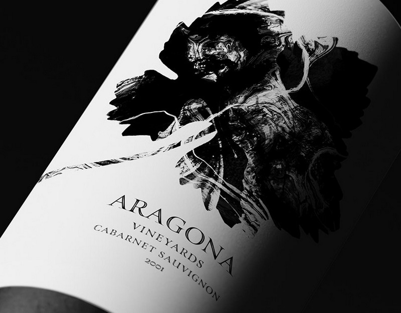 Врата для избранных: у парламента Гааги раскопали вход для средневековых графов